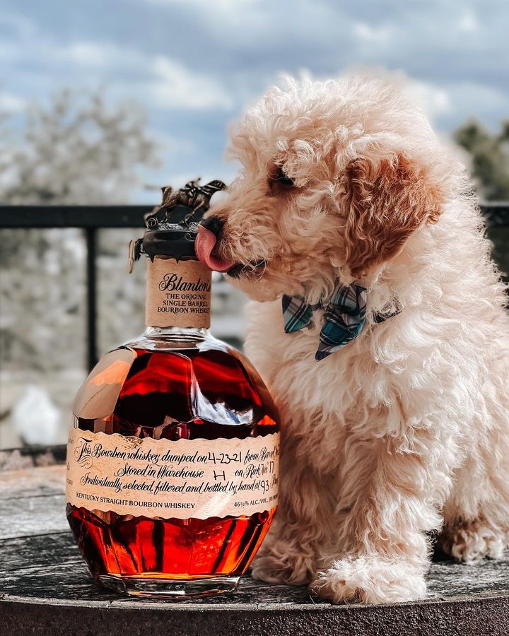 Blanton's Original Single Barrel Bourbon Whiskey | 700ML